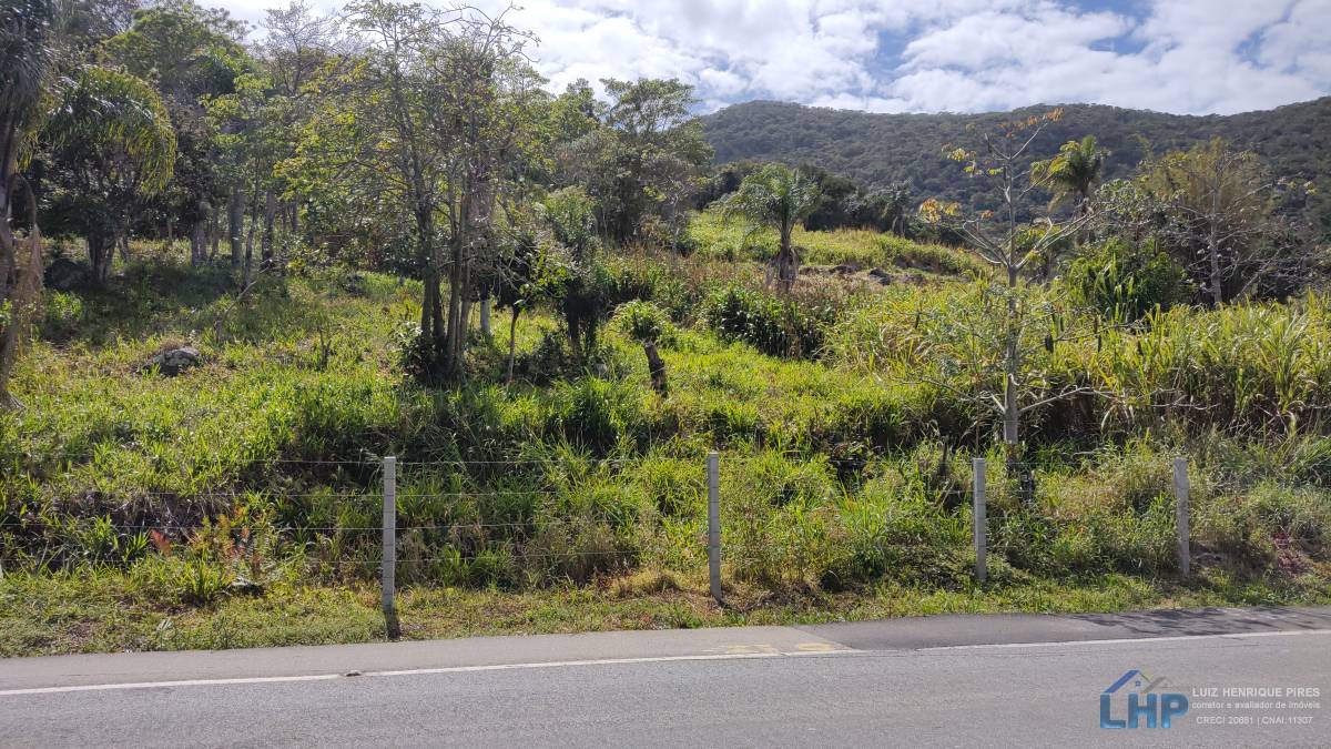 Terreno para Venda no bairro Pântano do Sul