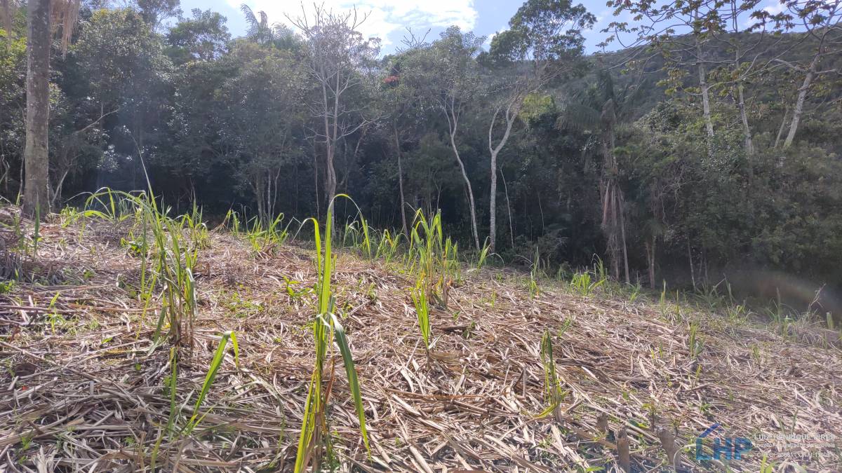Terreno para Venda no bairro Pântano do Sul