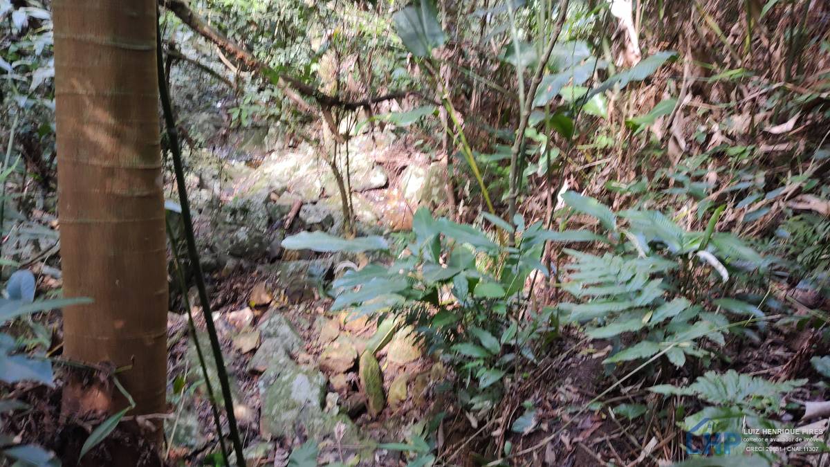 Terreno para Venda no bairro Pântano do Sul