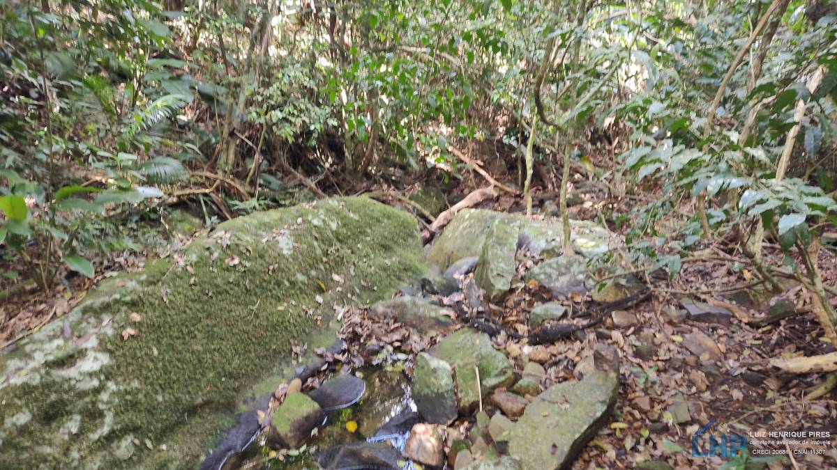 Terreno para Venda no bairro Pântano do Sul