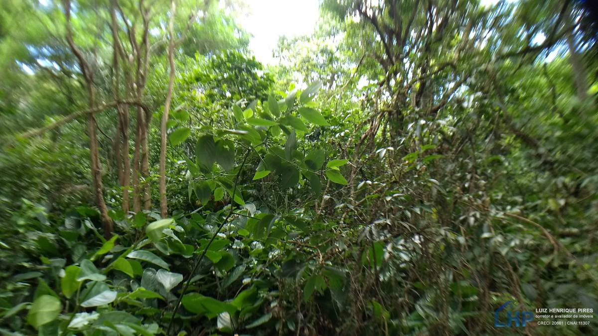 Casa para Venda no bairro Armação do Pântano Sul