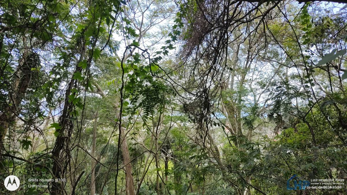 Terreno para Venda no bairro Lagoa da Conceição