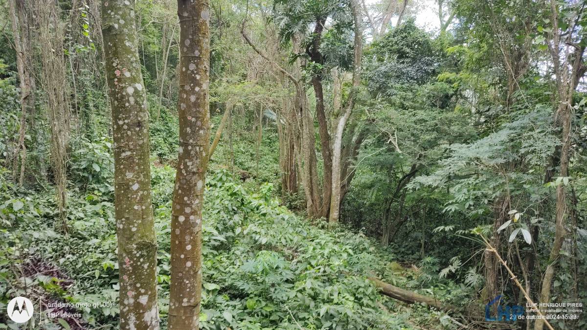 Terreno para Venda no bairro Lagoa da Conceição