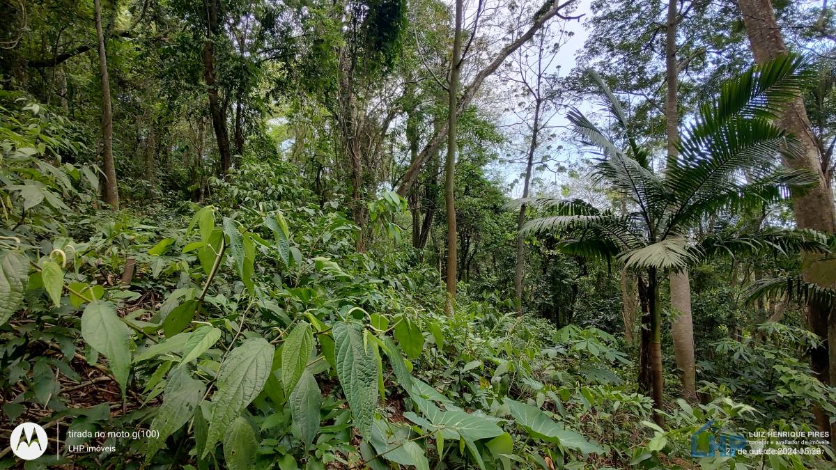 Terreno para Venda no bairro Lagoa da Conceição