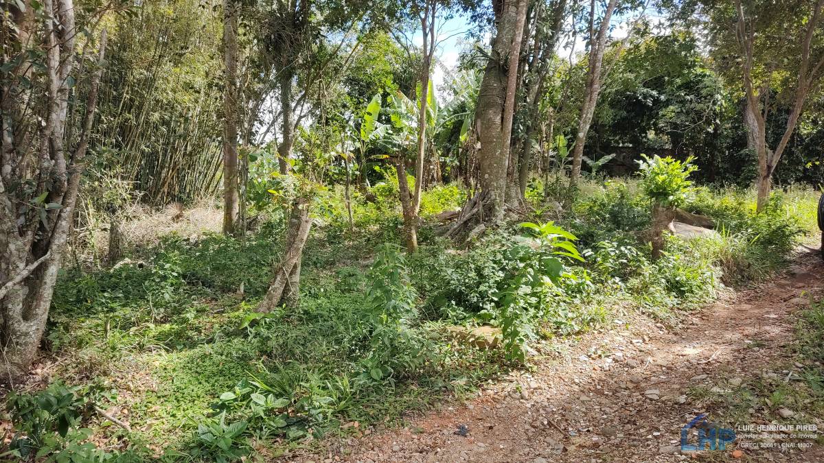 Terreno para Venda no bairro Pântano do Sul