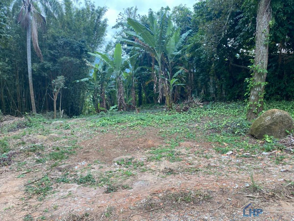 Terreno para Venda no bairro Pântano do Sul