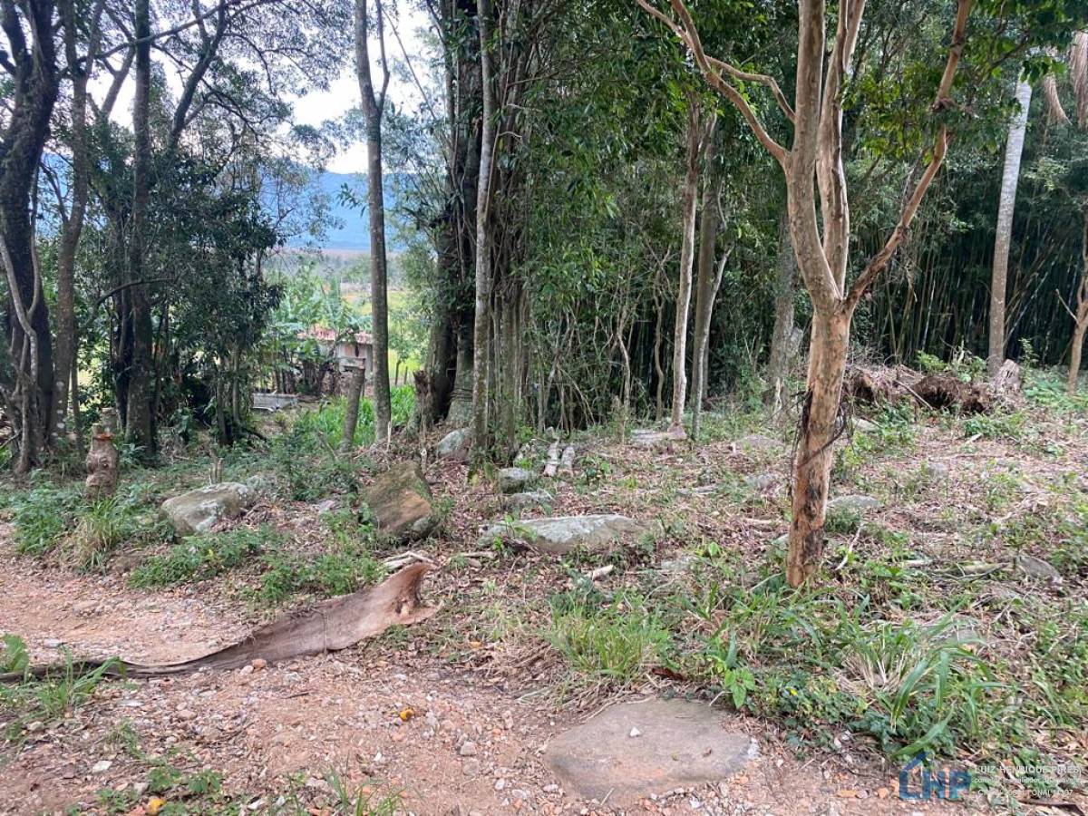 Terreno para Venda no bairro Pântano do Sul