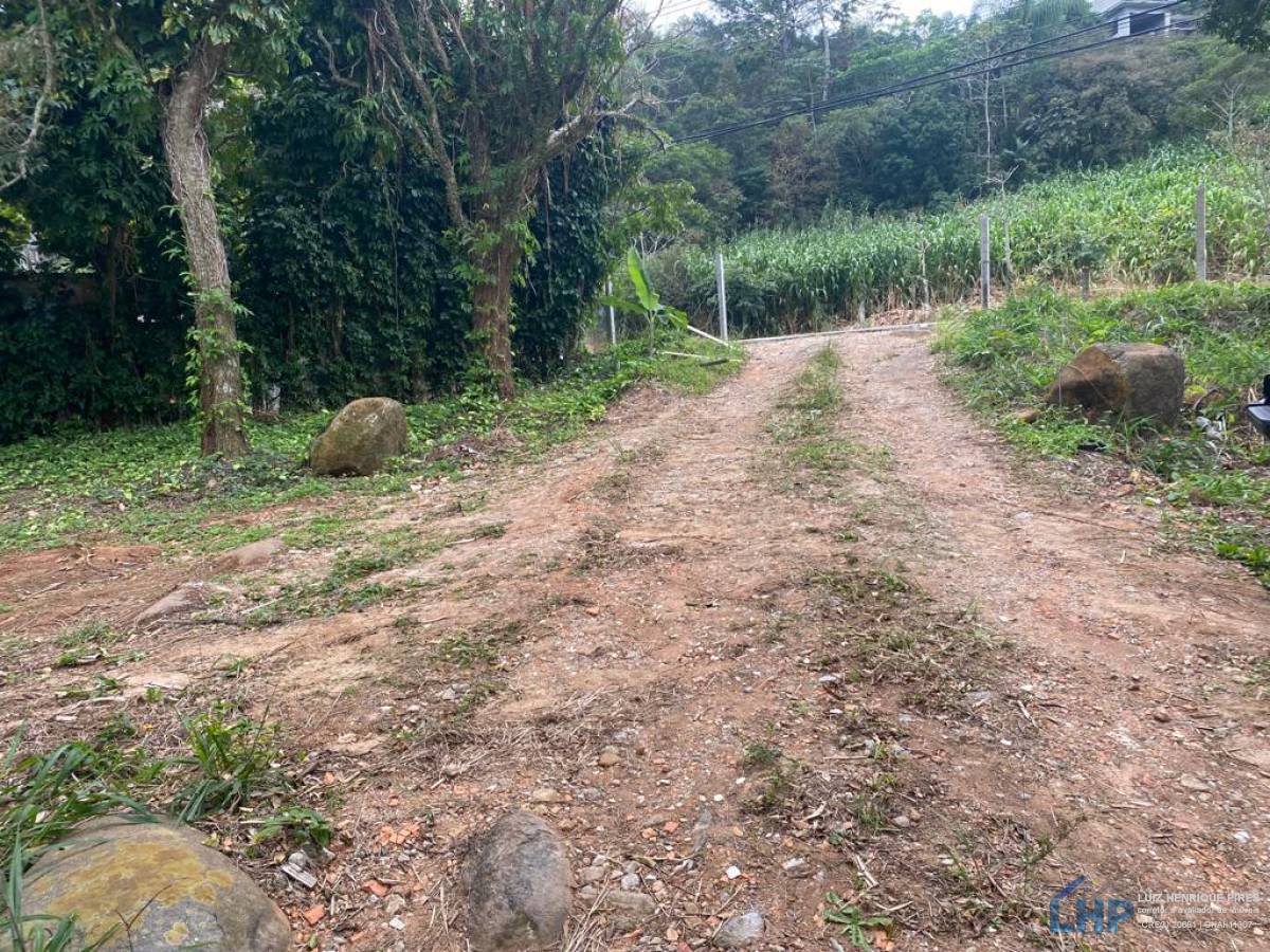 Terreno para Venda no bairro Pântano do Sul