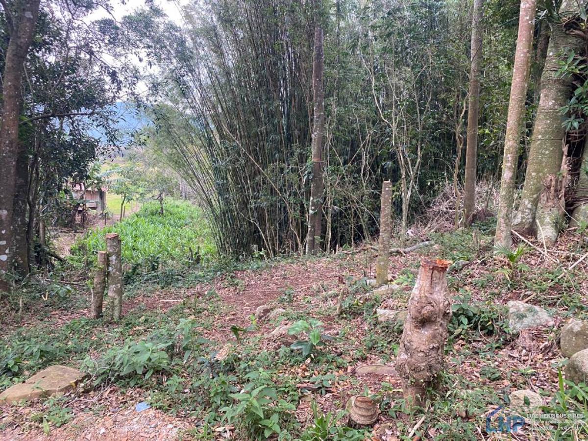 Terreno para Venda no bairro Pântano do Sul