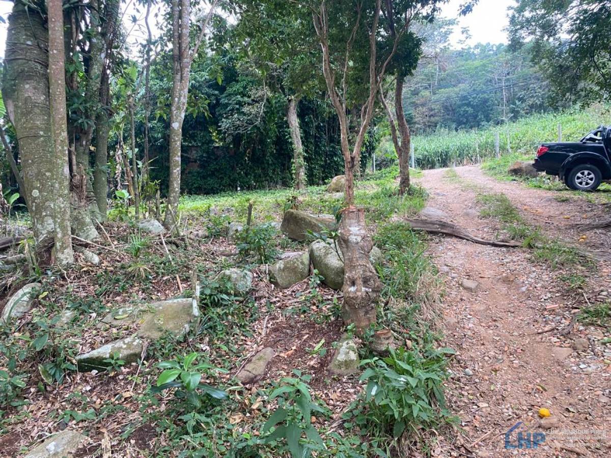 Terreno para Venda no bairro Pântano do Sul