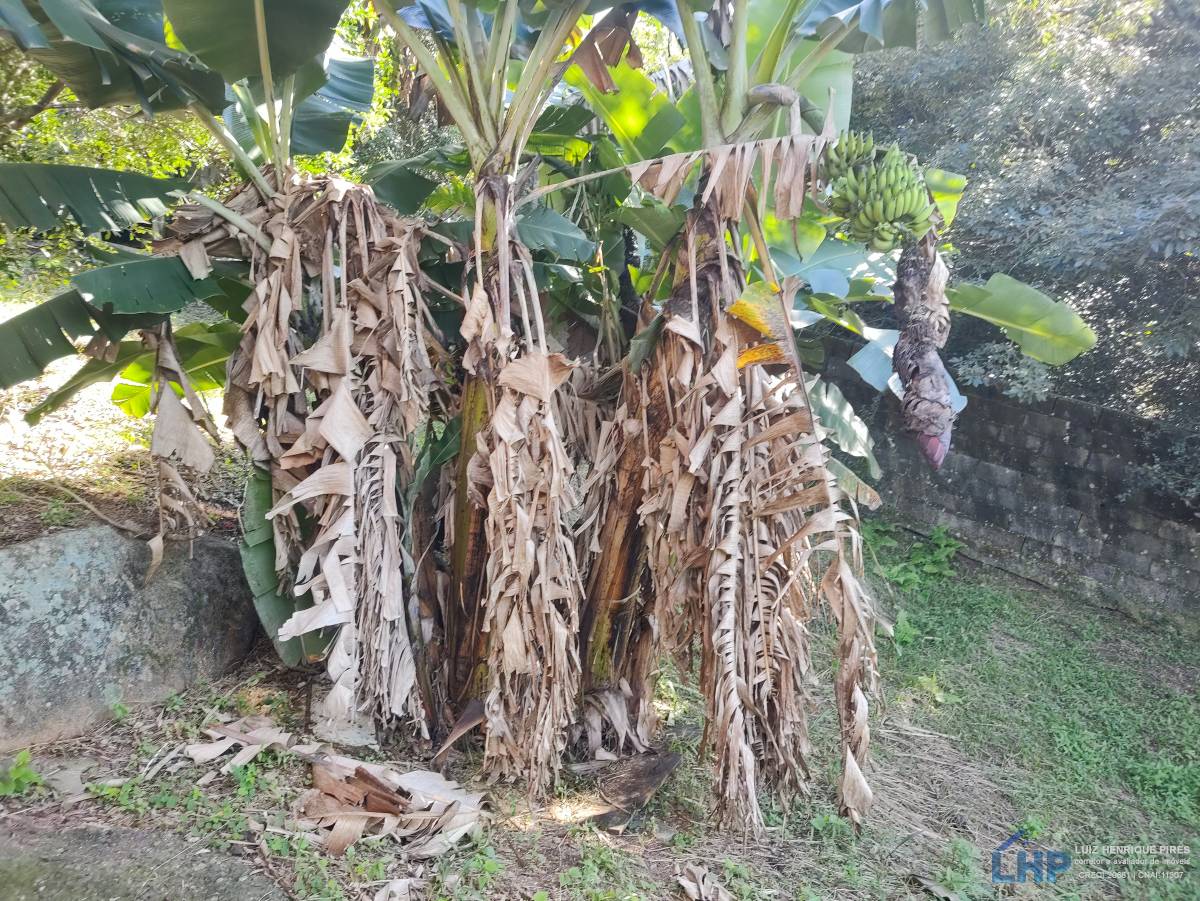 Casa para Venda no bairro Morro das Pedras