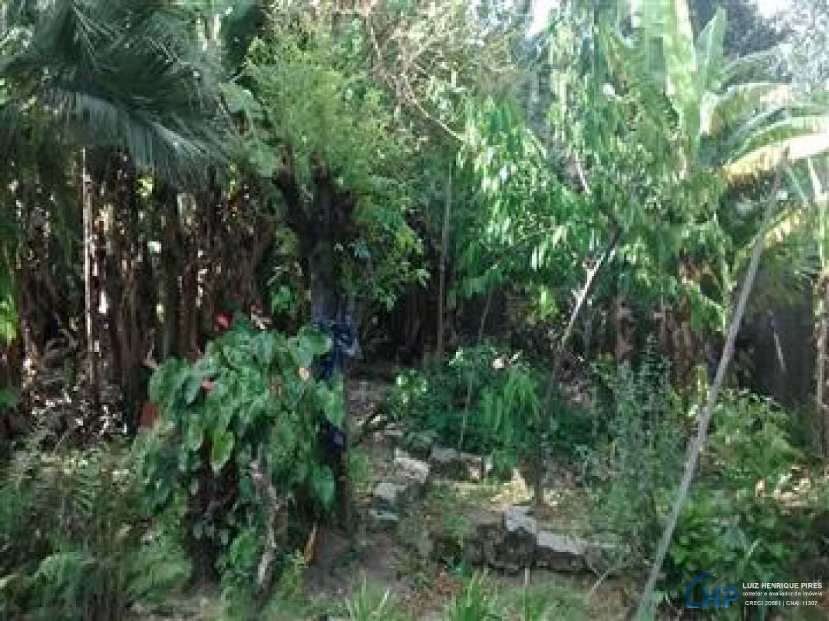 Casa para Venda no bairro Capoeiras