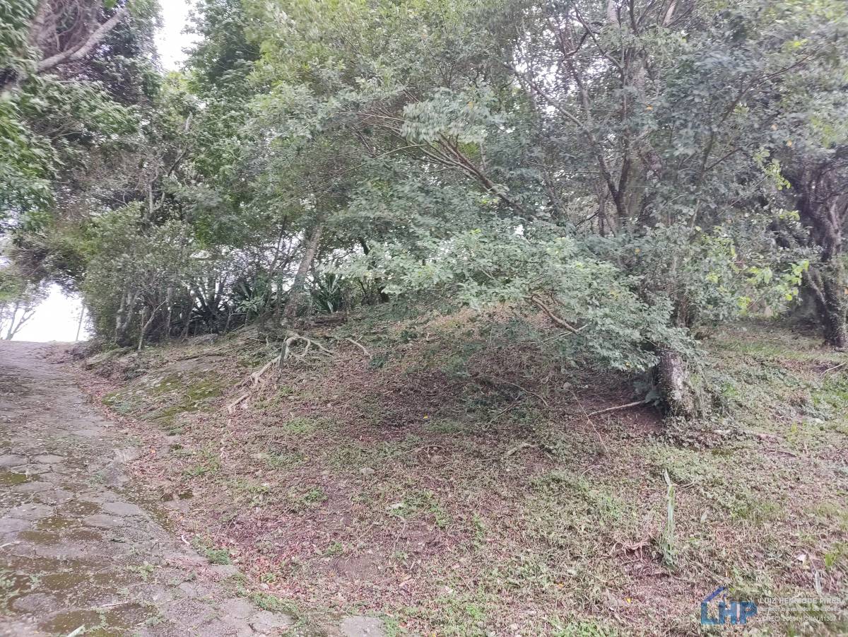 Terreno para Venda no bairro Costeira do Ribeirão