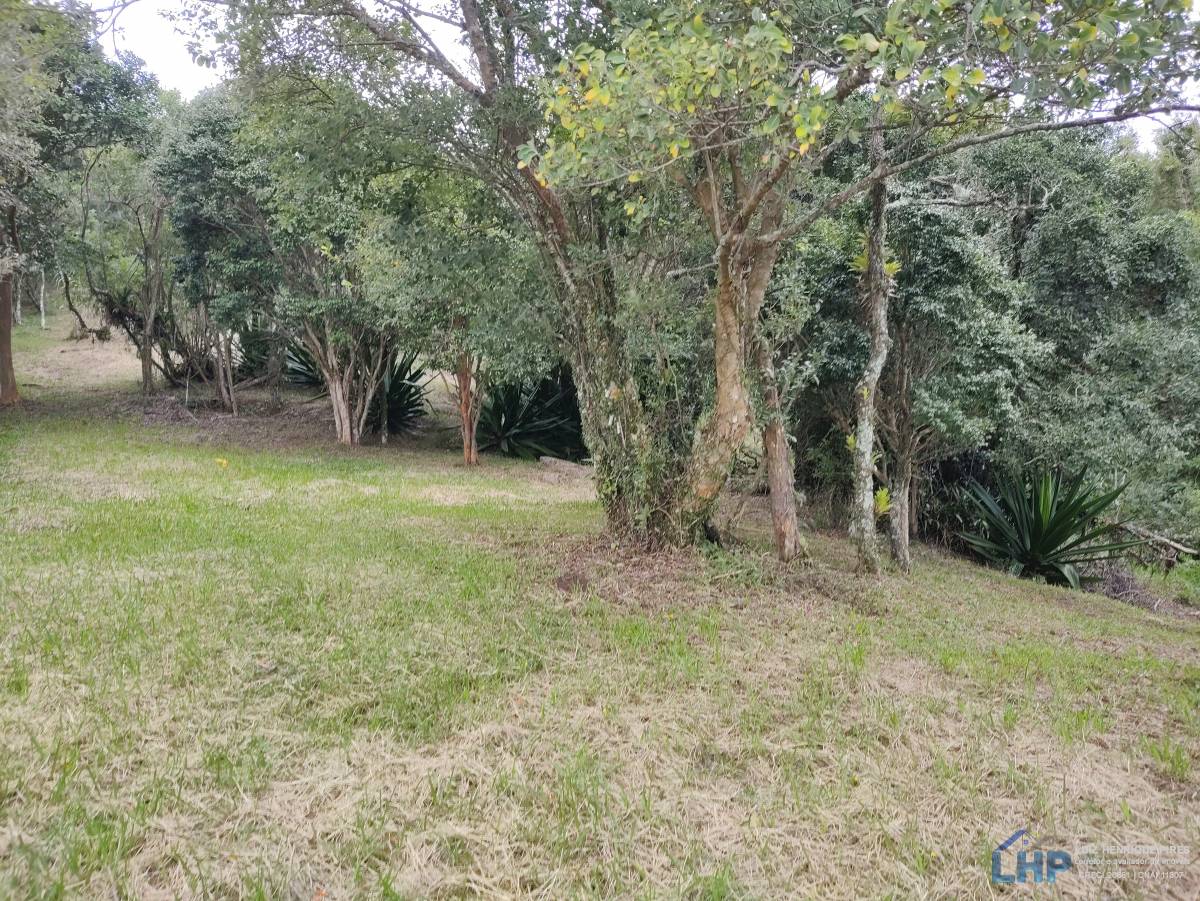 Terreno para Venda no bairro Costeira do Ribeirão
