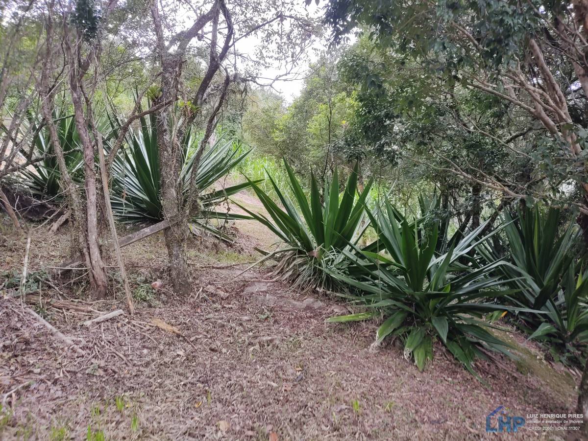 Terreno para Venda no bairro Costeira do Ribeirão