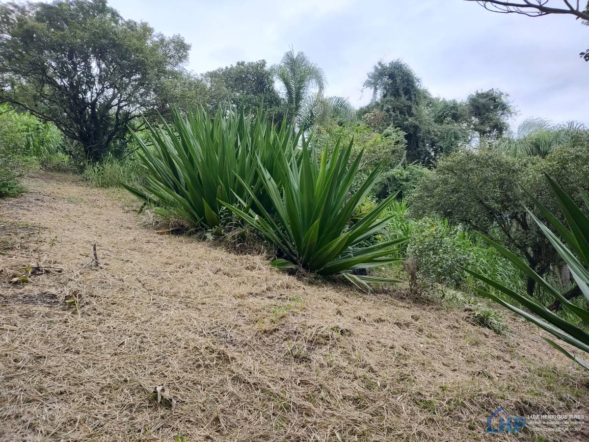 Terreno para Venda no bairro Costeira do Ribeirão