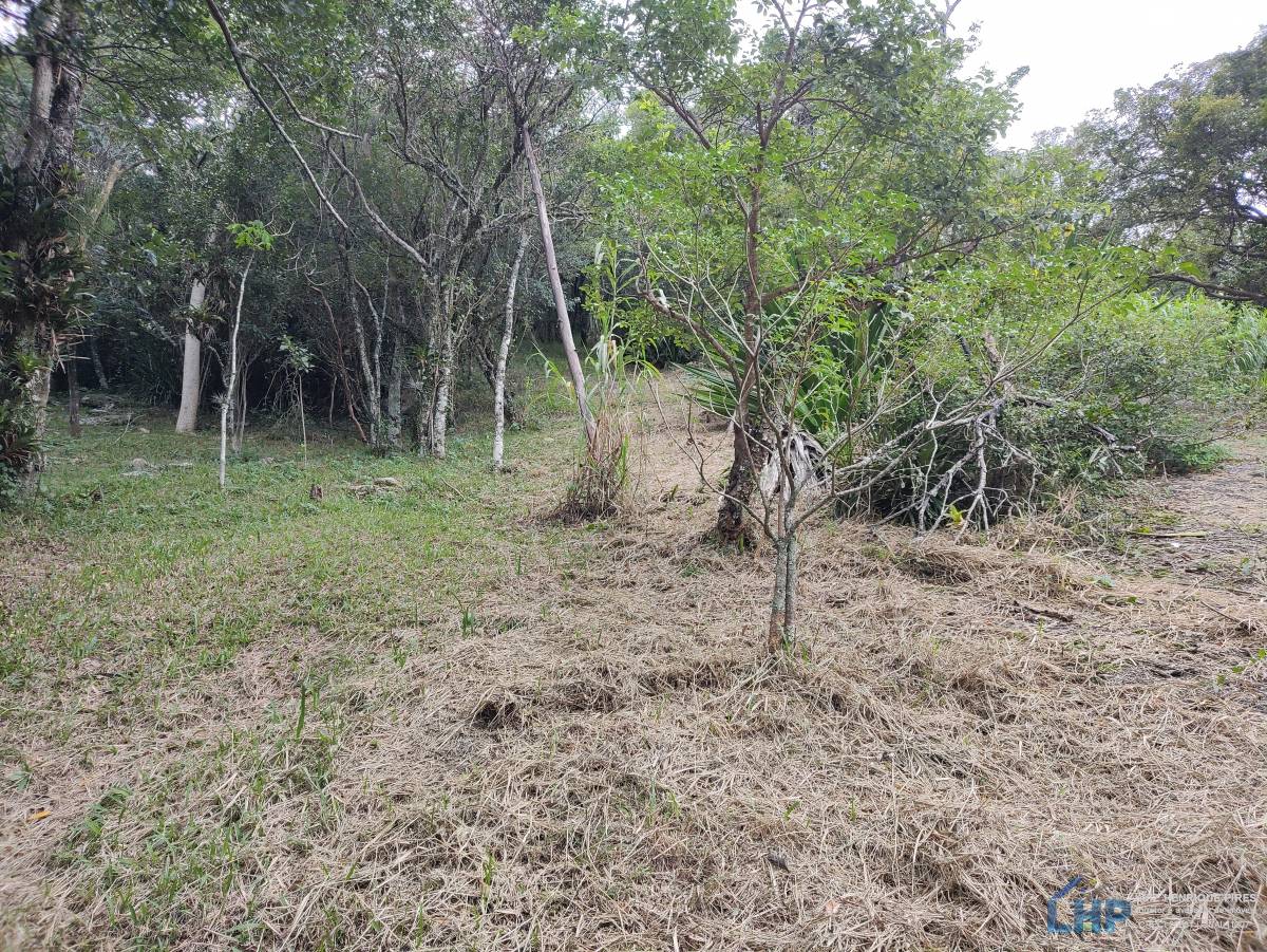 Terreno para Venda no bairro Costeira do Ribeirão