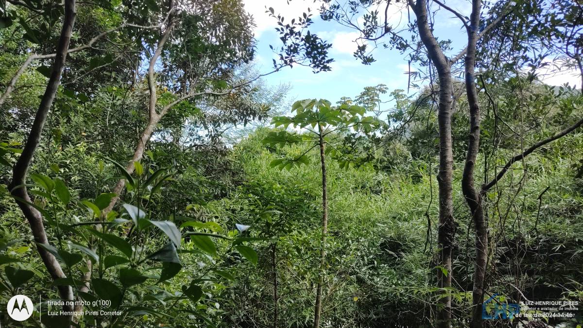 Terreno para Venda no bairro Costa de Dentro