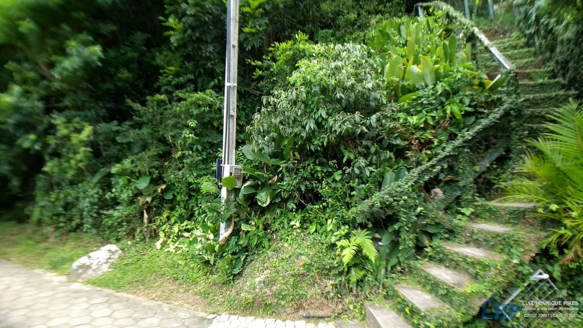 Terreno para Venda no bairro Armação do Pântano Sul