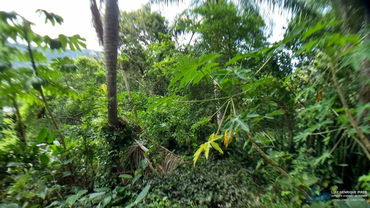 Terreno para Venda no bairro Armação do Pântano Sul