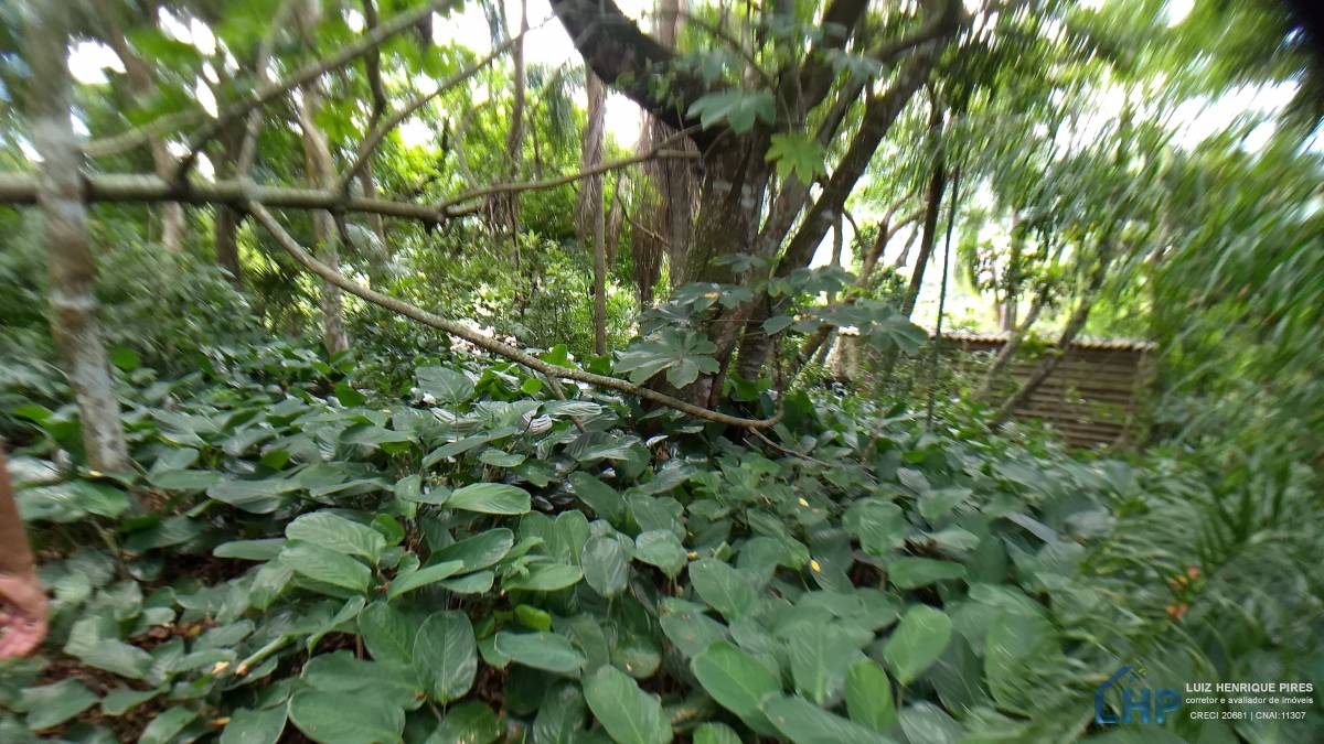 Terreno para Venda no bairro Armação do Pântano Sul