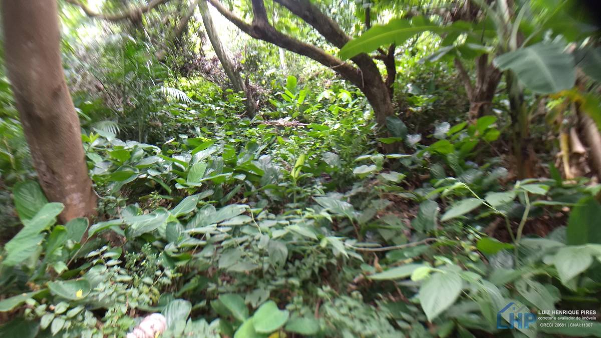 Terreno para Venda no bairro Armação do Pântano Sul