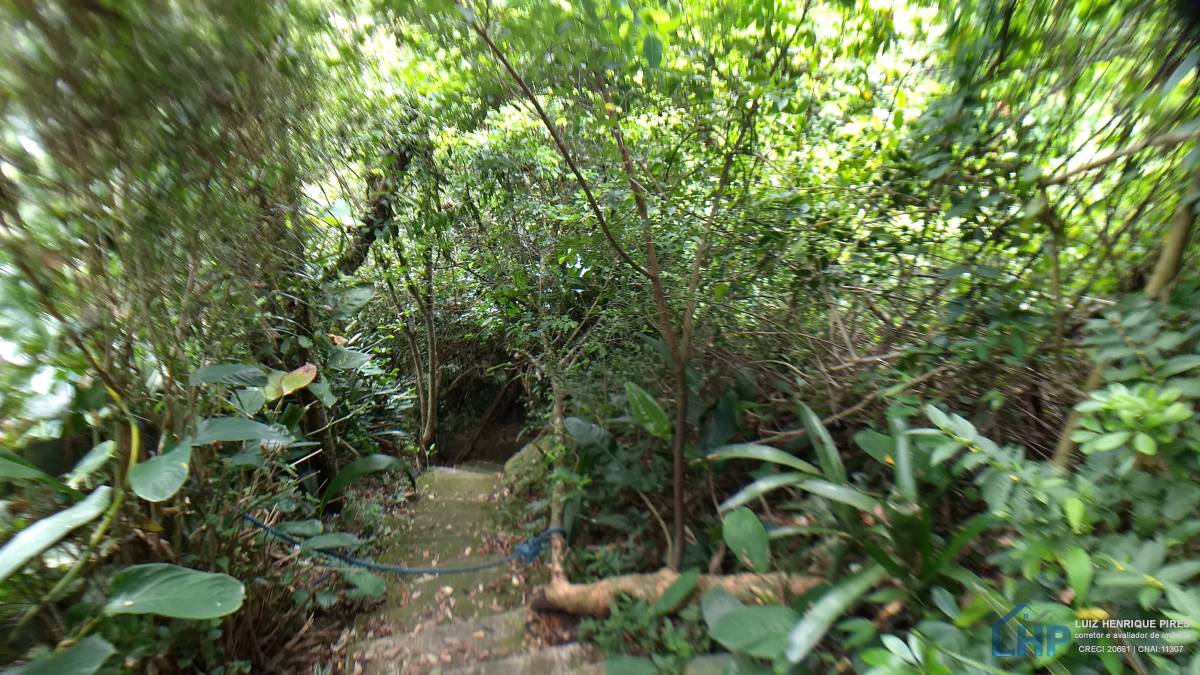 Terreno para Venda no bairro Armação do Pântano Sul